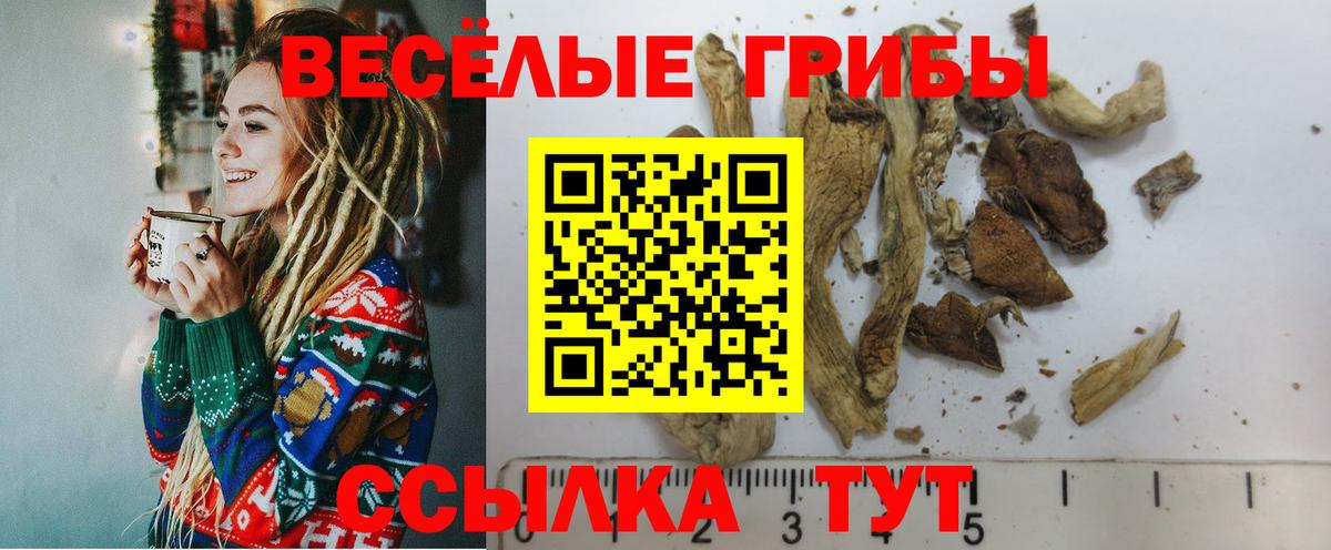Галлюциногенные грибы MAGIC MUSHROOMS  Вход с VPN  Десногорск 